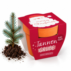 Tannengrüße „Merry Christmas“ (Blaufichte)